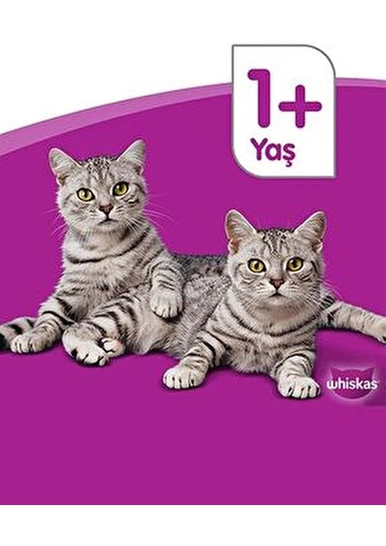Whiskas Tavuklu Yetişkin Kedi Maması 3,8kg - 2