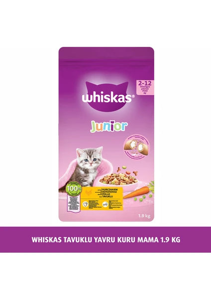 Whiskas Yavru Kedi Maması Tavuk Aromalı 1,9 kg Premium Kalite Türkiye Menşeli - 5