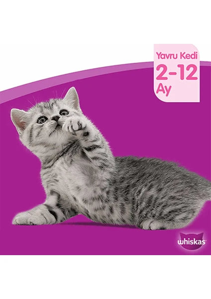 Whiskas Yavru Kedi Maması Tavuk Aromalı 1,9 kg Premium Kalite Türkiye Menşeli - 4